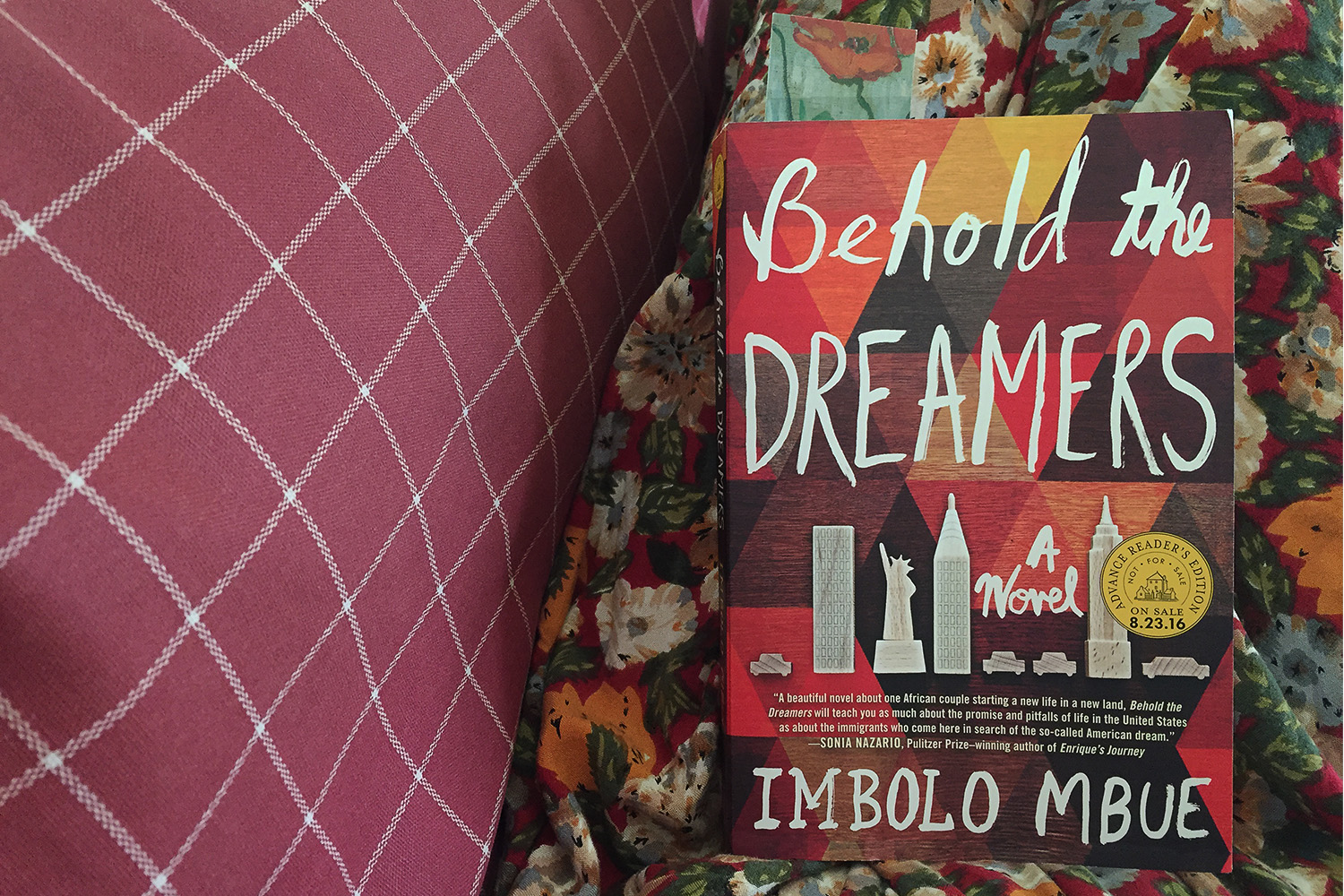 A Novel Behold the Dreamers